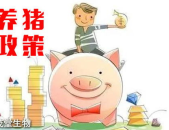 养猪补贴政策2020标准,2020年养猪补贴政策标准概览