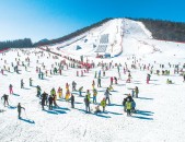 赏雪景、享雪趣布尔津多措并举推动冰雪旅游高质料生长及新华社｜，冷”冰雪开释“热”效应旅游的进阶与来日