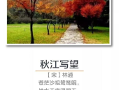 秋天的诗句 古诗,诗意盎然——古韵秋思