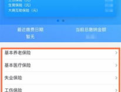 个人社保缴费查询,轻松掌握社保缴纳详情